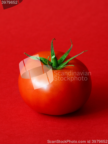 Image of One ripe tomato