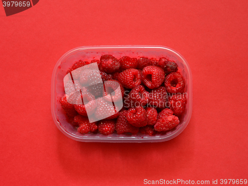 Image of Fresh raspberries in plastic box