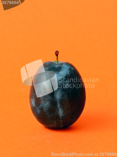 Image of Single ripe plum