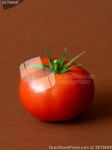 Image of One ripe tomato