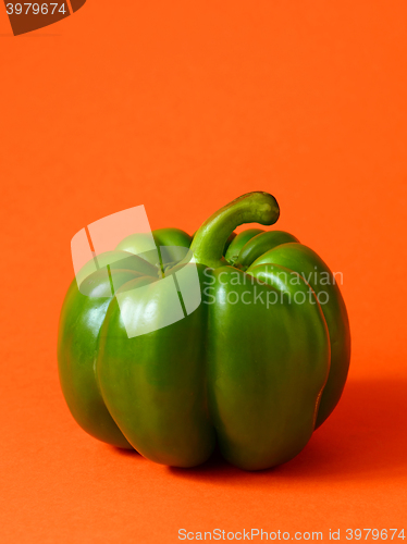 Image of Green bell pepper