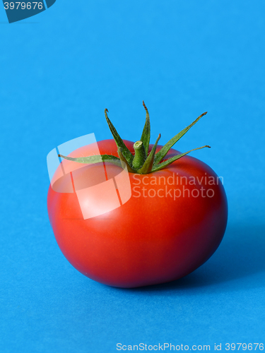 Image of One ripe tomato