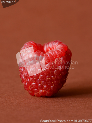 Image of One fresh raspberry