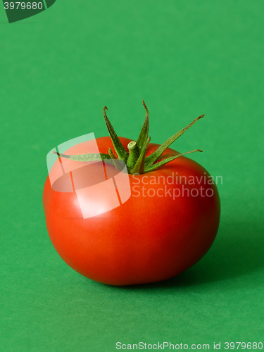 Image of One ripe tomato