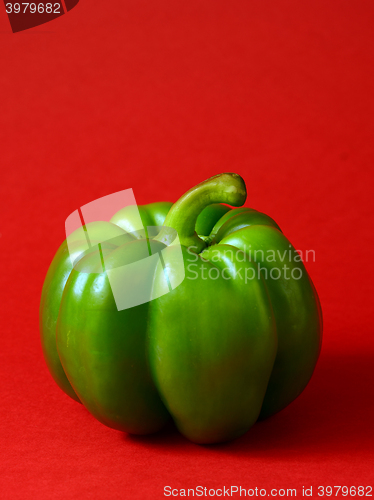 Image of Green bell pepper