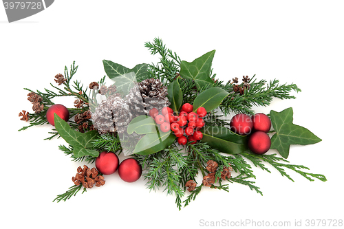 Image of Christmas Decoration