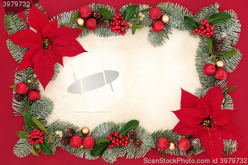 Image of Poinsettia Flower Background Border