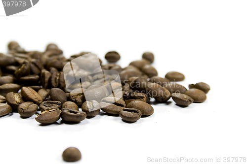 Image of coffe beans close-up
