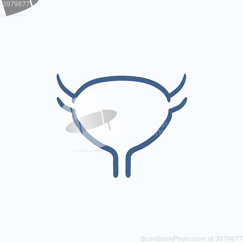 Image of Urinary bladder sketch icon.