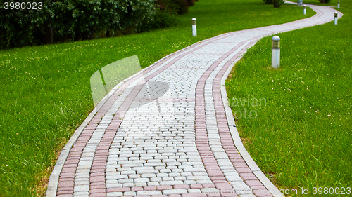 Image of Trees and walkway on green grass field in the park at morning