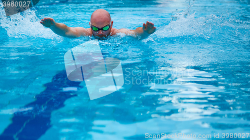 Image of Athletic swimmer training in a swimming pool