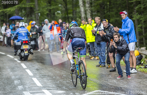 Image of The Cyclist Michael Albasini - Tour de France 2014