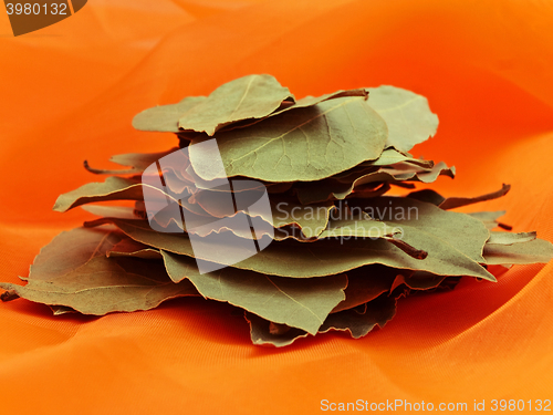 Image of Bay Leaves