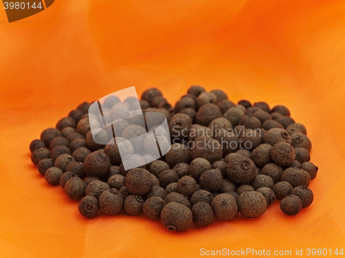 Image of Allspice