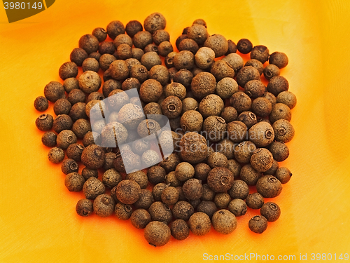 Image of Allspice