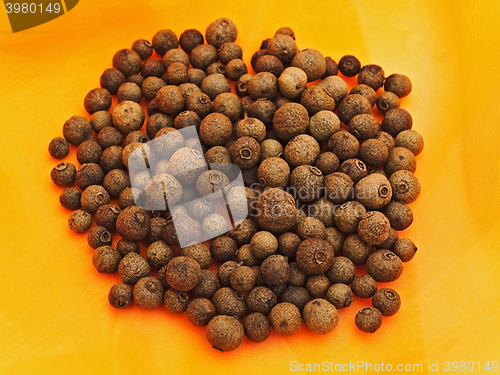 Image of Allspice