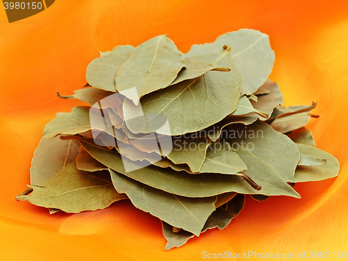 Image of Bay Leaves