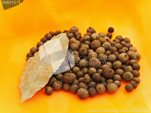 Image of Allspice