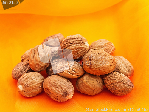 Image of Nutmegs