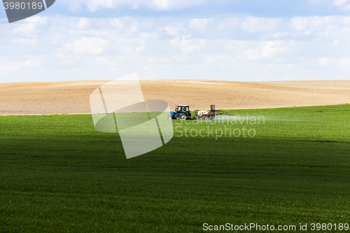 Image of Processing of cereal  