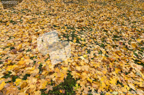 Image of Autumn Park, overcast  