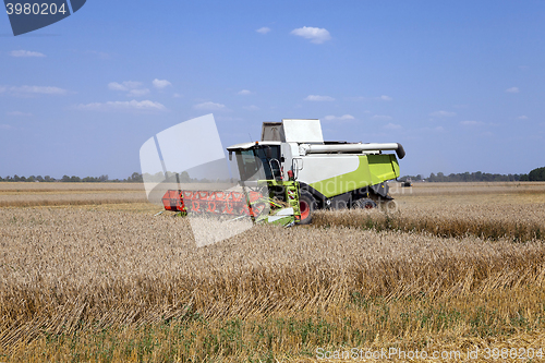 Image of Harvester in the field  
