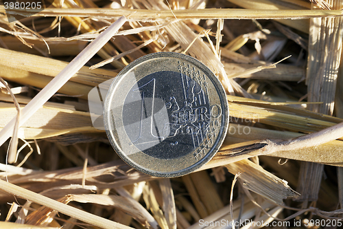Image of coin in the straw 