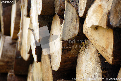 Image of wood piles