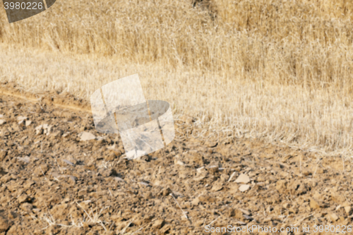 Image of plowed field, furrows 