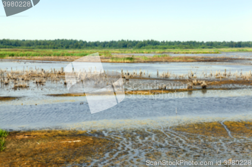 Image of swamp, the end of summer  