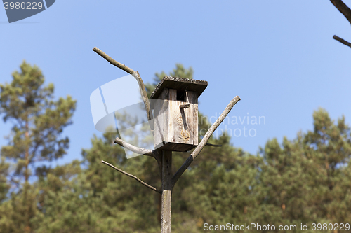 Image of birdhouse from a tree  