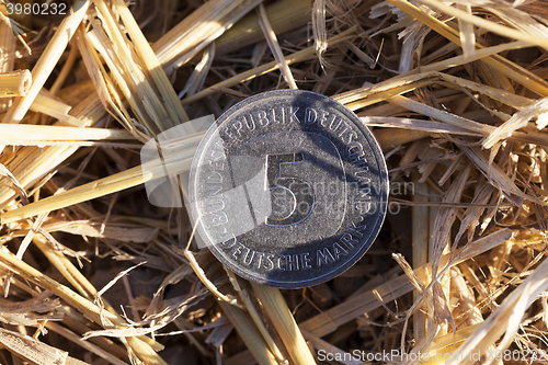 Image of coin in the straw  