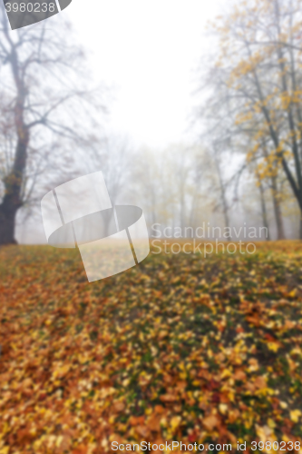 Image of Autumn Park, overcast  