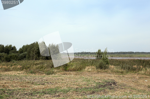 Image of moorland, summer time  