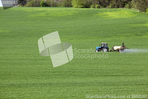 Image of processing of cereals  