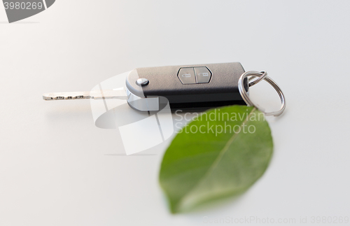 Image of close up of car key and green leaf