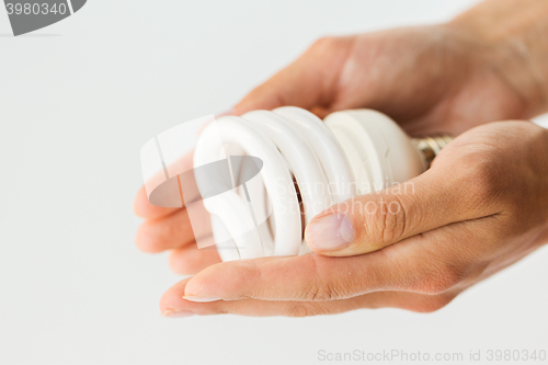 Image of close up of hands holding energy saving lightbulb