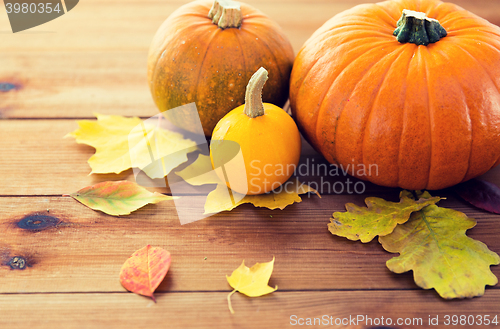 Image of close up of pumpkins on wooden table at home