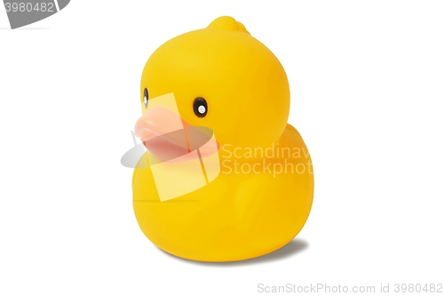 Image of Yellow rubber duck