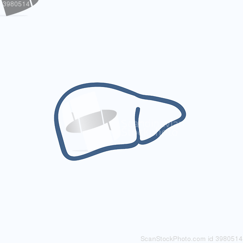 Image of Liver sketch icon.