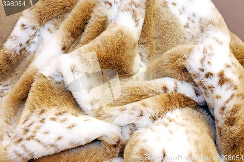 Image of Fashion fur