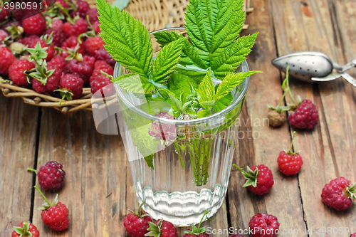 Image of Cup of berry tea