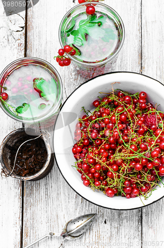 Image of Tea with berries and leaves of currant