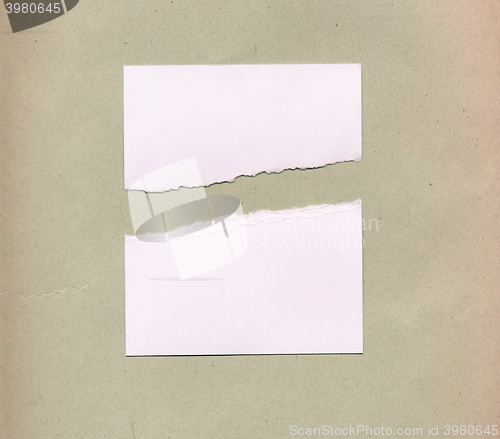 Image of Torn paper pieces