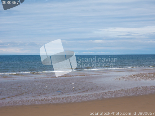 Image of Sea beach shore