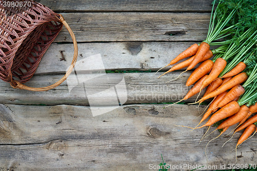 Image of Fresh carrots bunch on rustic wooden background