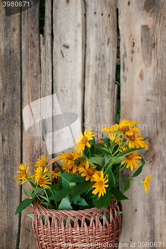 Image of Bunch of yellow flowers in wicker basket over wooden background