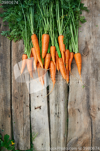Image of Fresh carrots bunch on rustic wooden background