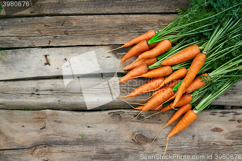 Image of Fresh carrots bunch on rustic wooden background