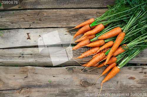 Image of Fresh carrots bunch on rustic wooden background